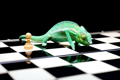 Illustration artifice - Image 1