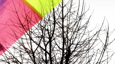 Illustration overlaying