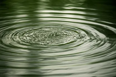 Illustration purl - Image 1