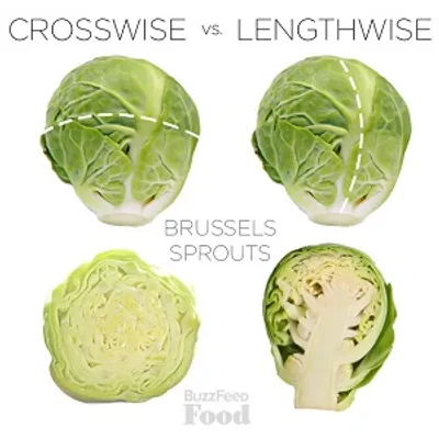 Illustration lengthwise - Image 2