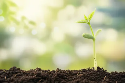 Illustration shooting - Image 1