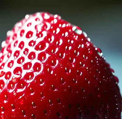 Illustration dots - Image 1