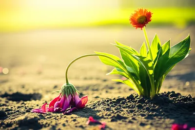 Illustration concedes - Image 1