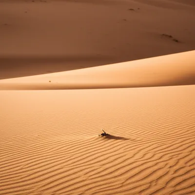 Illustration little - Image 1