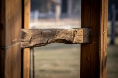 Illustration stocks - Image 1