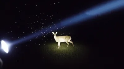 Illustration lamping - Image 1