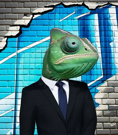 Illustration fronts - Image 1