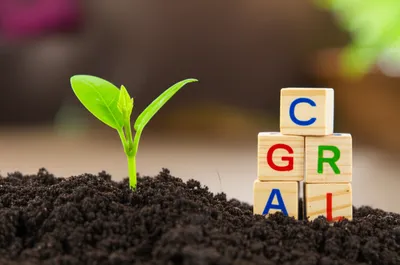 Illustration initiate - Image 1