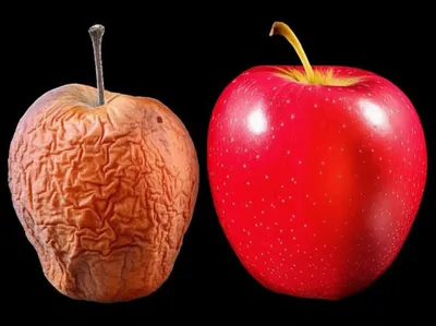 Illustration shrunken - Image 1