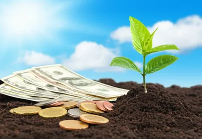 Illustration nuts - Image 1