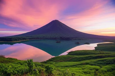 Illustration beaut - Image 1