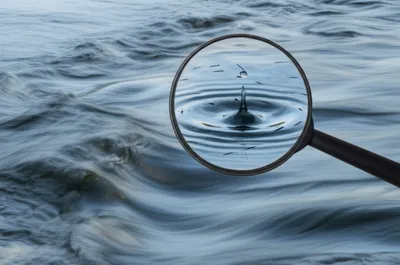 Illustration fluxions - Image 1