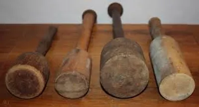 Illustration beetle - Image 2