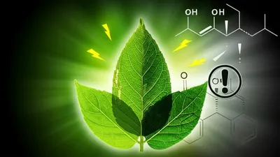 Illustration nicotine - Image 1
