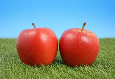 Illustration iso - Image 1