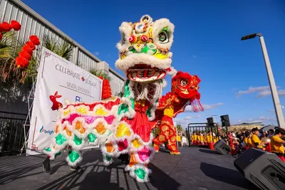 Illustration viewers - Image 2