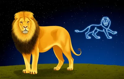 Illustration homonym - Image 1