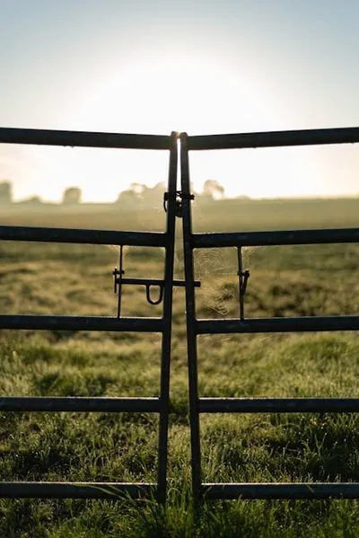 Illustration gated - Image 2