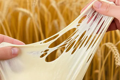 Illustration gluten - Image 1