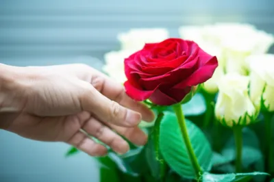 Illustration crime - Image 1