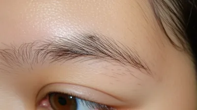 Illustration eyebrow