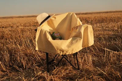 Illustration lays - Image 2