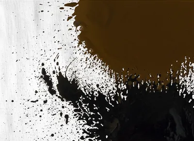 Illustration foils - Image 1