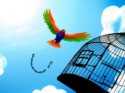 Illustration abrupt - Image 1