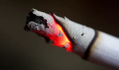 Illustration cherry - Image 1