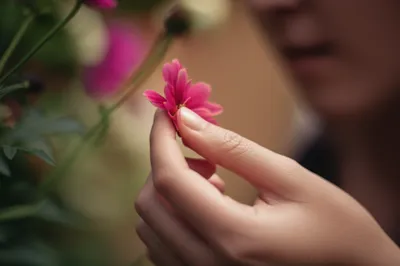 Illustration sensible