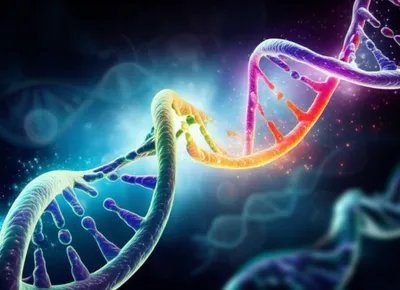 Illustration transcripts - Image 1