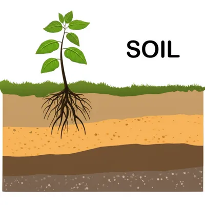 Illustration earth - Image 1