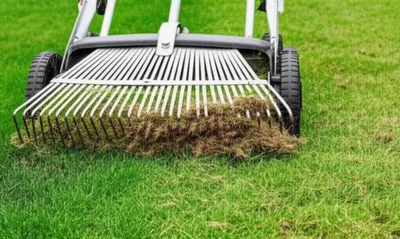 Illustration scarify