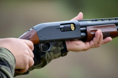 Illustration racks - Image 1