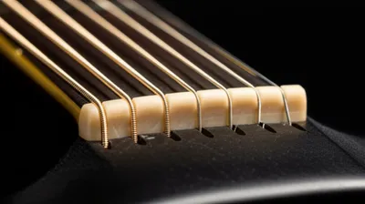 Illustration nut - Image 1