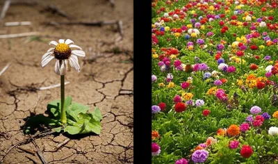 Illustration redoubling - Image 1