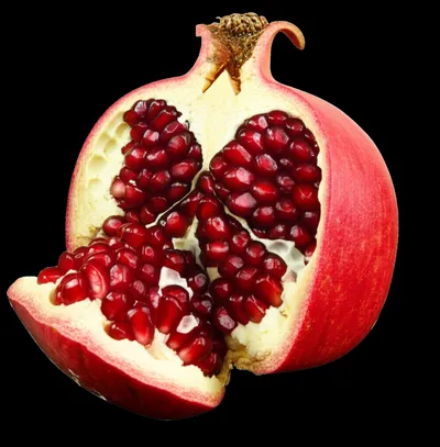 Illustration fullest - Image 1