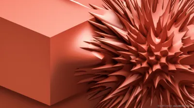 Illustration pleomorphism - Image 1