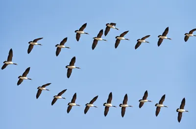 Illustration trails - Image 1