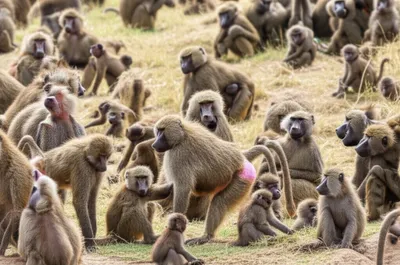 Illustration troop - Image 1