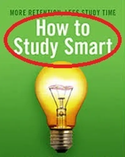 Illustration theme - Image 3