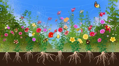 Illustration insidious - Image 1