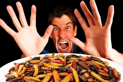 Hình ảnh minh họa abhorred - Ảnh 1