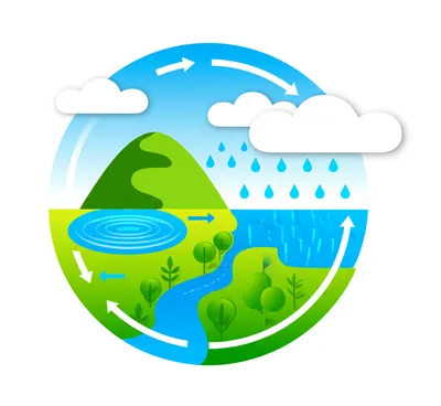 Illustration circulation