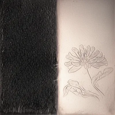 Illustration mezzotint