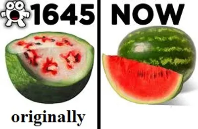 Illustration originally - Image 2