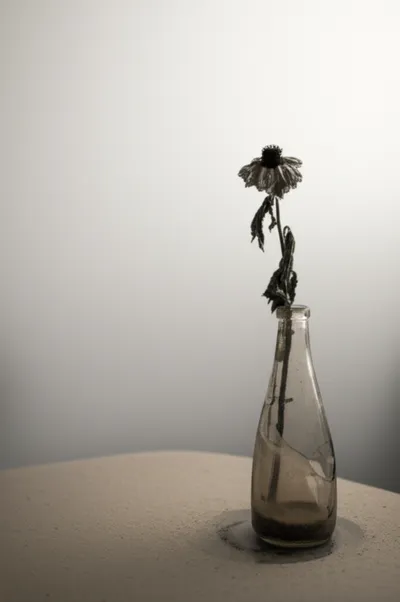 Illustration vapid - Image 1