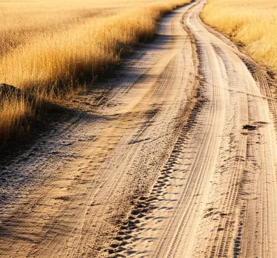 Illustration tracks - Image 1