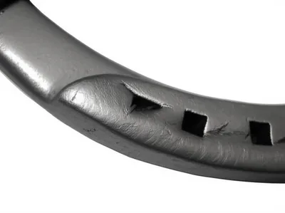 Illustration sponges - Image 1