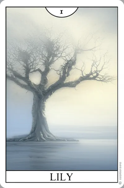 Illustration lily - Image 1